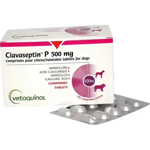Tabletas Masticable Para Perro Invet Clavaseptin (precio Por Blíster)